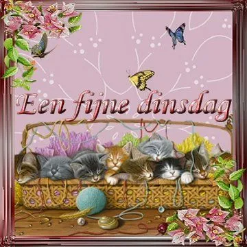 ᐅ fijne dinsdag wensen - Dinsdag plaatjes ᐅ fijne dinsdag wensen - Dinsdag plaatjes