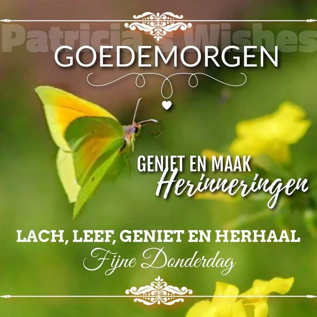 ᐅ fijne dinsdag wensen - Dinsdag plaatjes ᐅ fijne dinsdag wensen - Dinsdag plaatjes