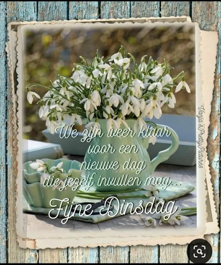 ᐅ fijne dinsdag wensen - Dinsdag plaatjes ᐅ fijne dinsdag wensen - Dinsdag plaatjes