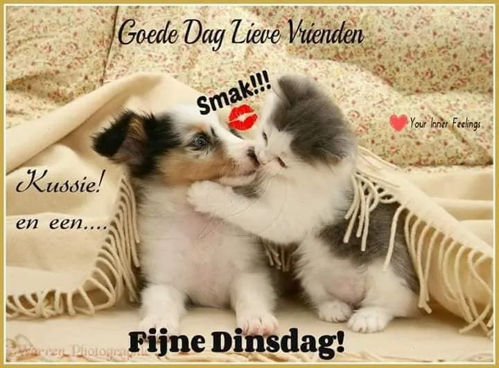 ᐅ fijne dinsdag wensen - Dinsdag plaatjes ᐅ fijne dinsdag wensen - Dinsdag plaatjes