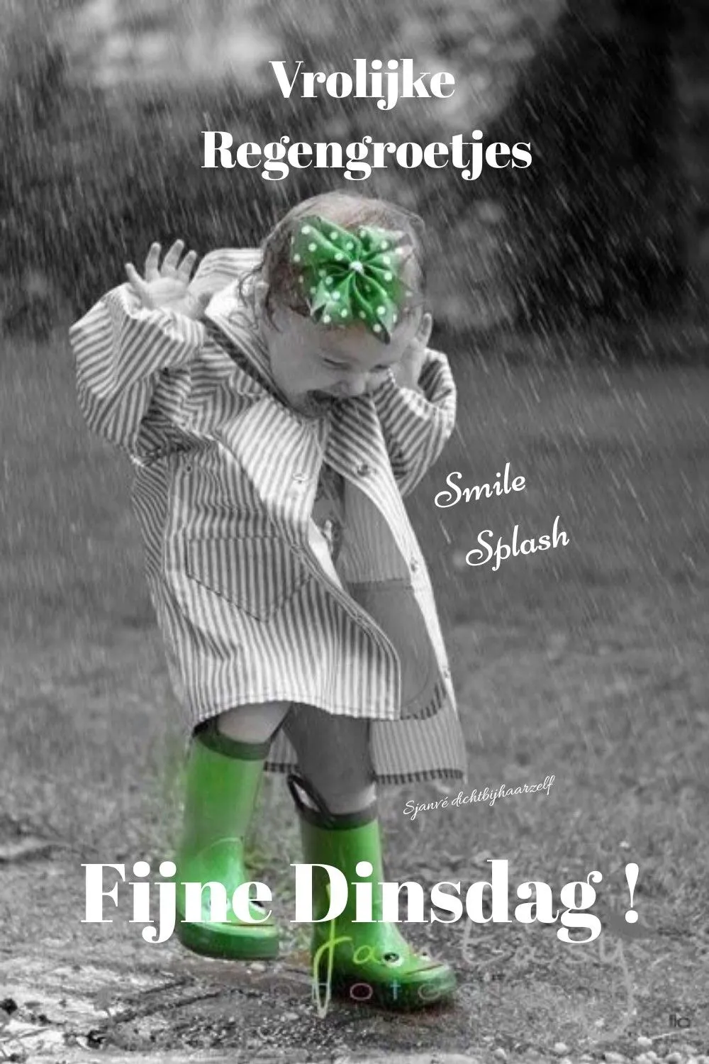 ᐅ fijne dinsdag wensen - Dinsdag plaatjes ᐅ fijne dinsdag wensen - Dinsdag plaatjes