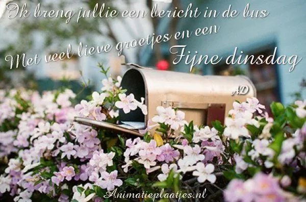 ᐅ fijne dinsdag wensen - Dinsdag plaatjes