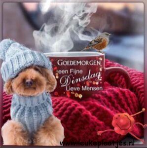 fijne dinsdag winter