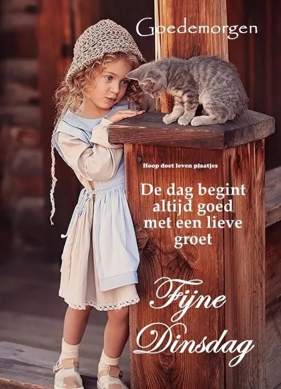 ᐅ fijne dinsdag winter - Dinsdag plaatjes