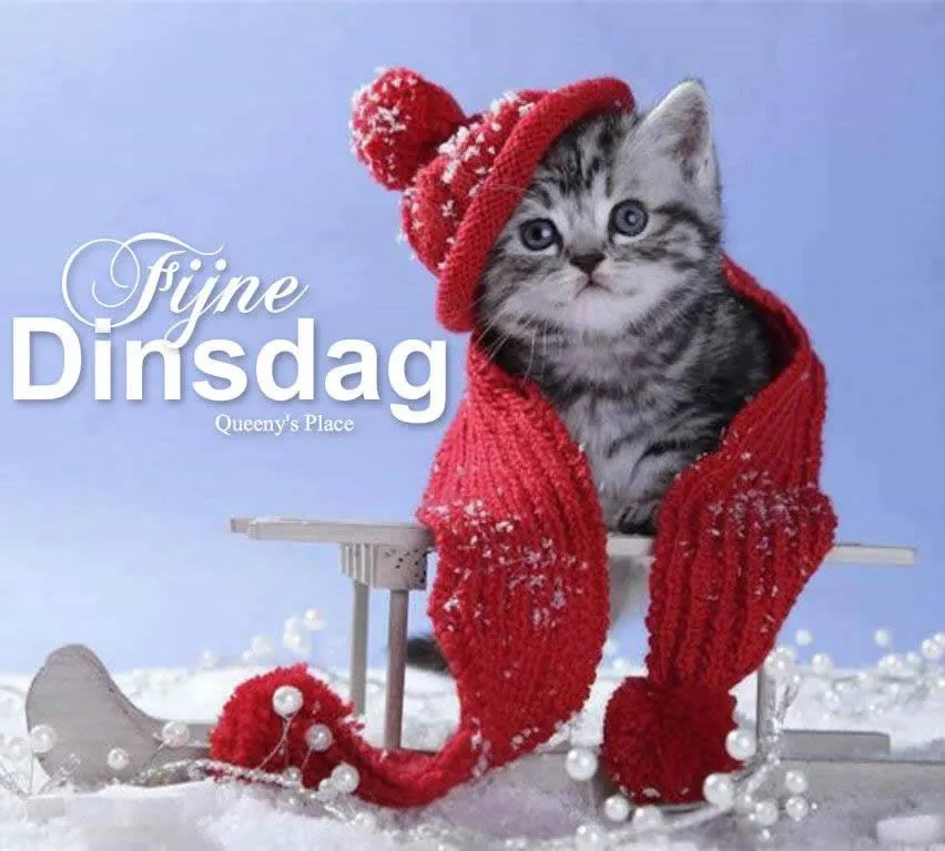 ᐅ fijne dinsdag winter - Dinsdag plaatjes
