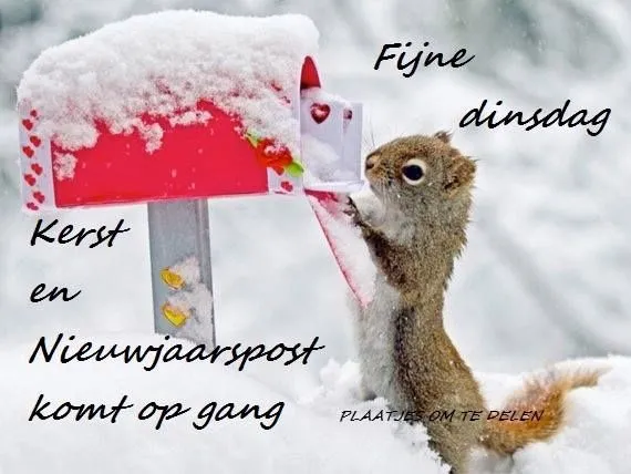 ᐅ fijne dinsdag winter - Dinsdag plaatjes
