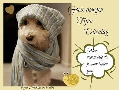 ᐅ fijne dinsdag winter - Dinsdag plaatjes