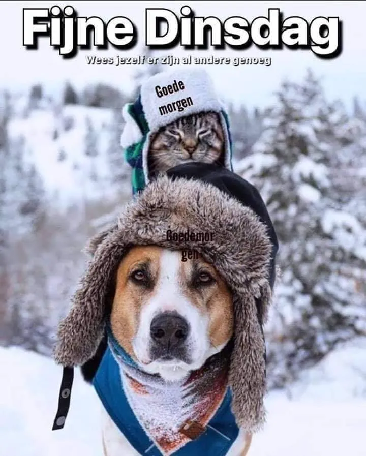 ᐅ fijne dinsdag winter - Dinsdag plaatjes