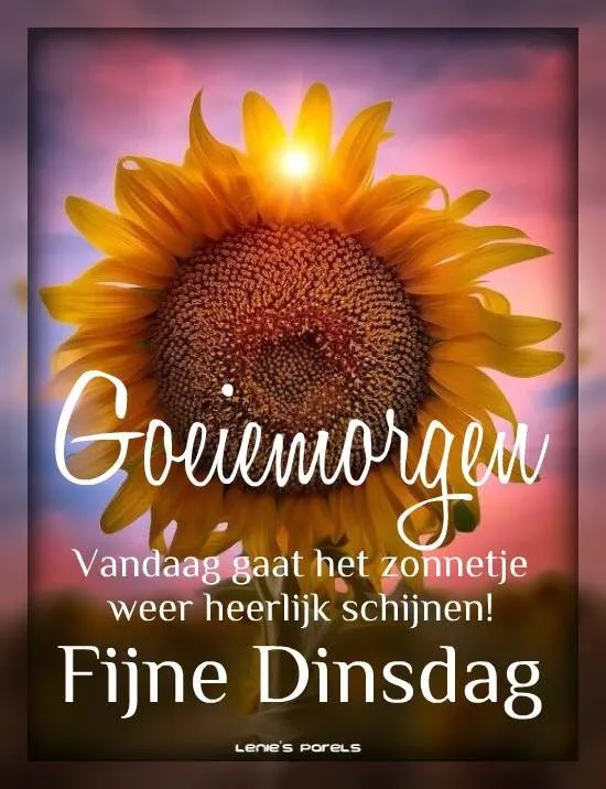ᐅ fijne dinsdag winter - Dinsdag plaatjes