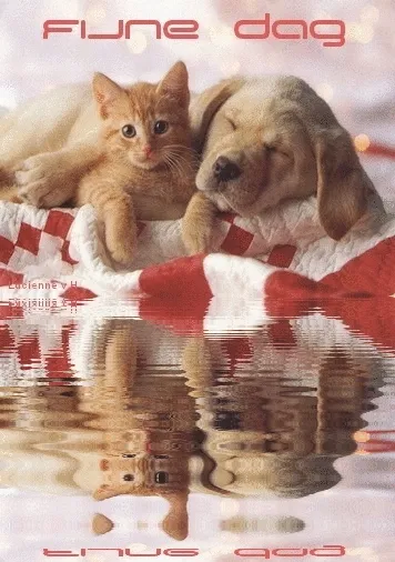 ᐅ fijne dinsdag winter - Dinsdag plaatjes