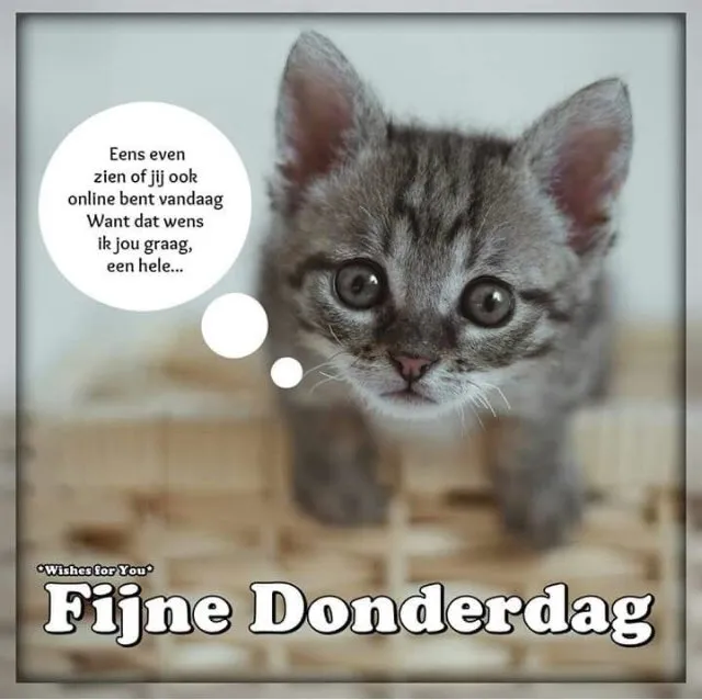 ᐅ fijne donderdag - Donderdag plaatjes ᐅ fijne donderdag - Donderdag plaatjes