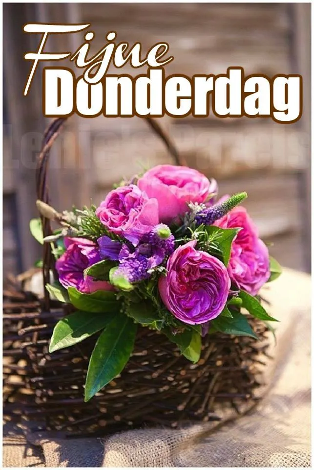 ᐅ fijne donderdag - Donderdag plaatjes ᐅ fijne donderdag - Donderdag plaatjes