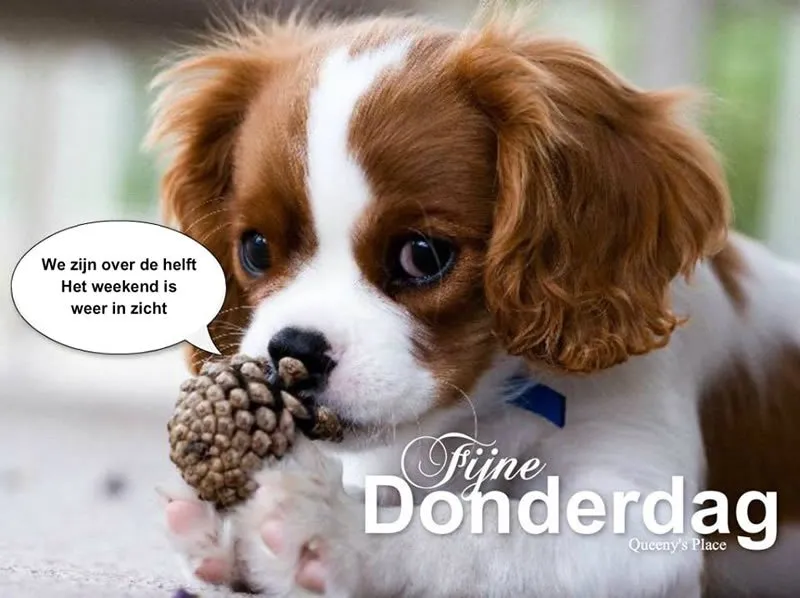 ᐅ fijne donderdag - Donderdag plaatjes ᐅ fijne donderdag - Donderdag plaatjes
