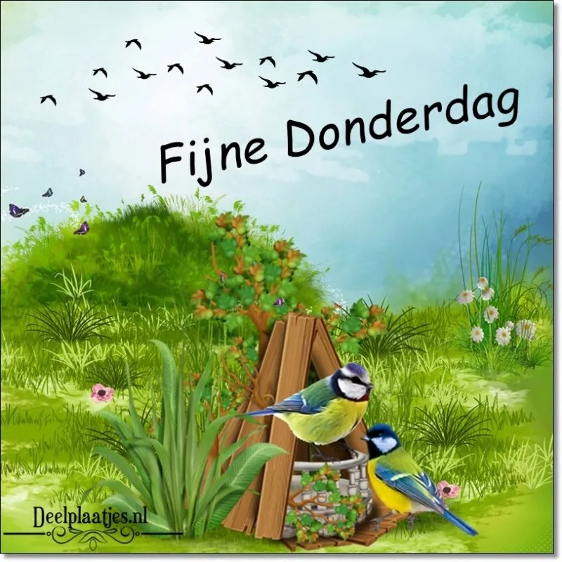 ᐅ fijne donderdag - Donderdag plaatjes ᐅ fijne donderdag - Donderdag plaatjes