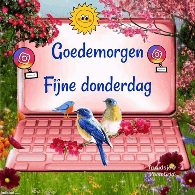 ᐅ fijne donderdag gif - Donderdag plaatjes