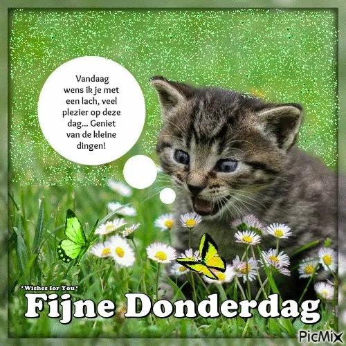 ᐅ fijne donderdag gif - Donderdag plaatjes ᐅ fijne donderdag gif - Donderdag plaatjes