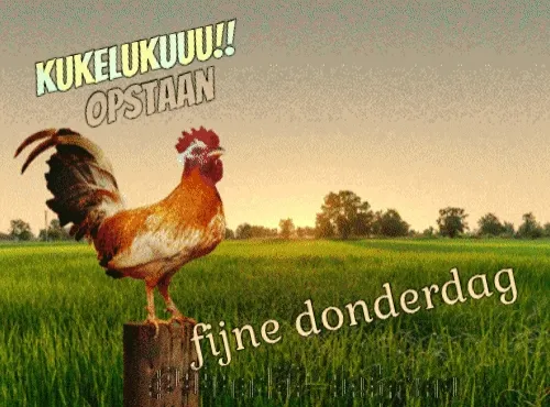 ᐅ fijne donderdag gif - Donderdag plaatjes ᐅ fijne donderdag gif - Donderdag plaatjes