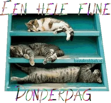 ᐅ fijne donderdag gif - Donderdag plaatjes ᐅ fijne donderdag gif - Donderdag plaatjes