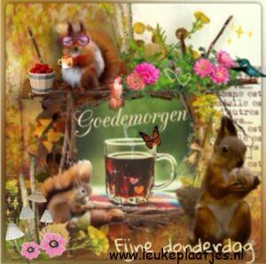 fijne donderdag herfst