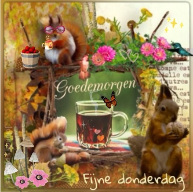 ᐅ fijne donderdag herfst - Donderdag plaatjes ᐅ fijne donderdag herfst - Donderdag plaatjes