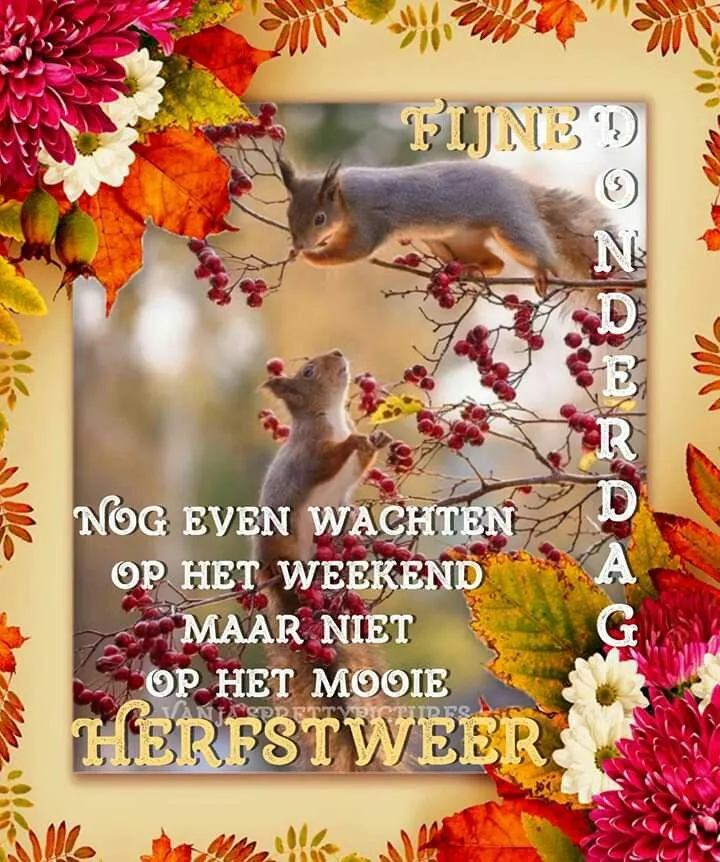 ᐅ fijne donderdag herfst - Donderdag plaatjes