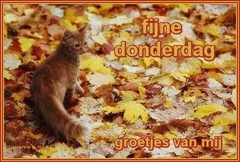 ᐅ fijne donderdag herfst - Donderdag plaatjes