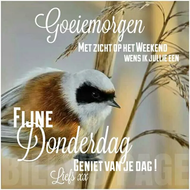 ᐅ fijne donderdag herfst - Donderdag plaatjes