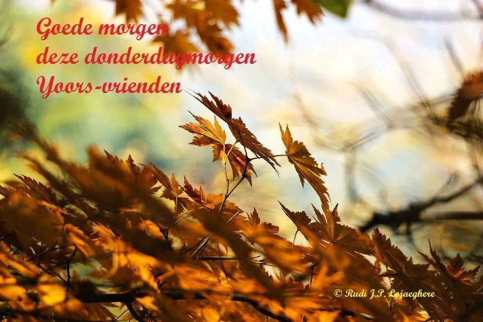 ᐅ fijne donderdag herfst - Donderdag plaatjes