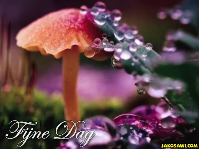 ᐅ fijne donderdag herfst - Donderdag plaatjes