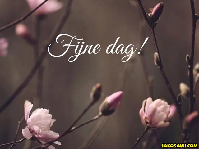 ᐅ fijne donderdag herfst - Donderdag plaatjes