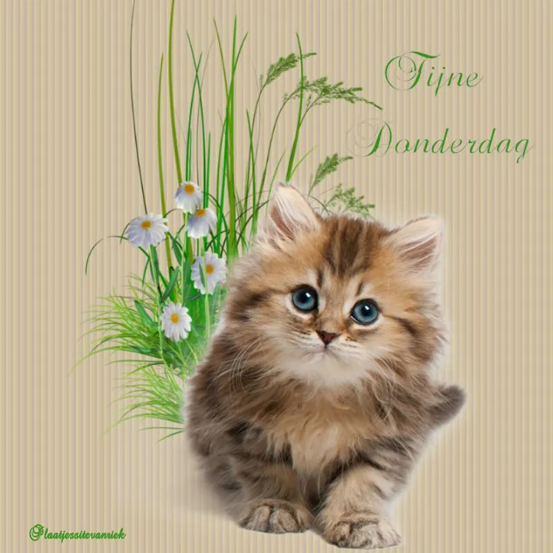 ᐅ fijne donderdag herfst - Donderdag plaatjes