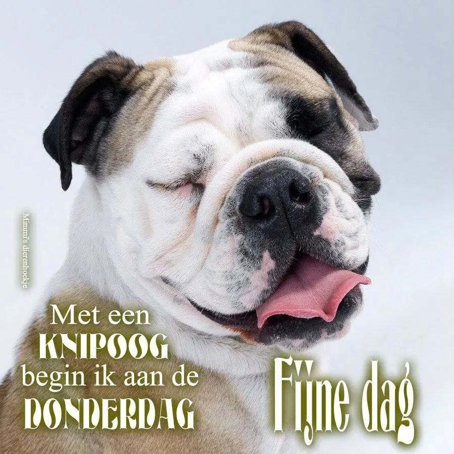 ᐅ fijne donderdag humor - Donderdag plaatjes