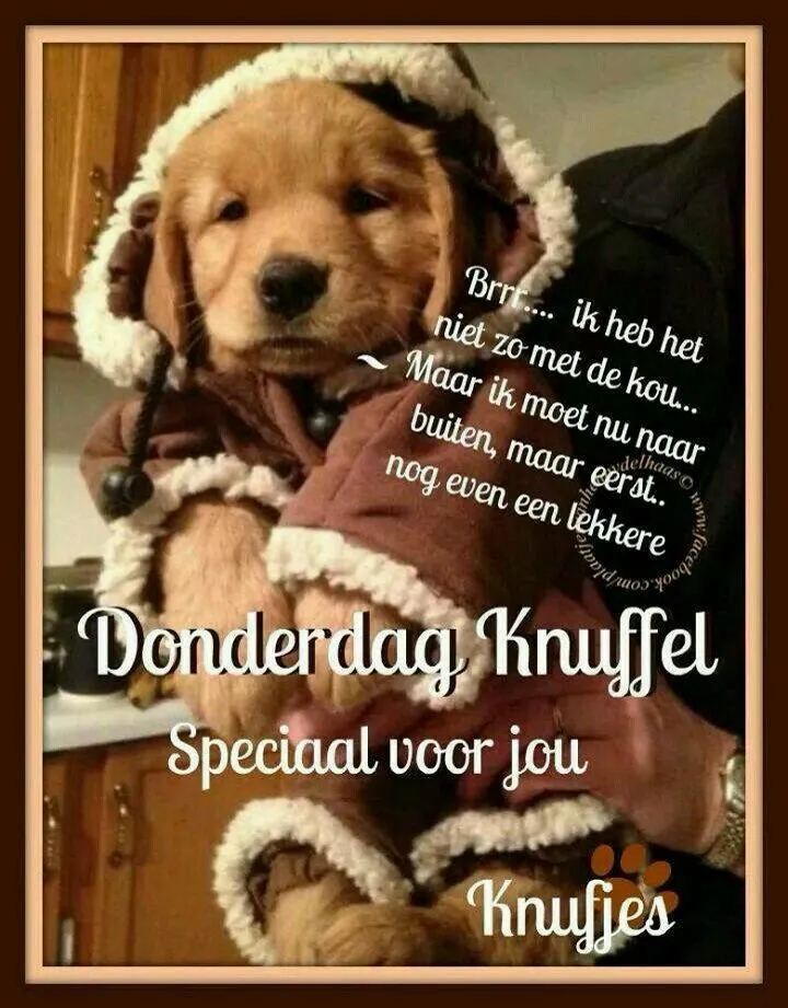 ᐅ fijne donderdag humor - Donderdag plaatjes