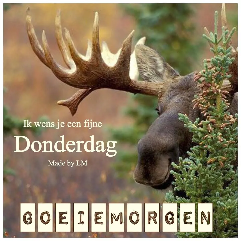 ᐅ fijne donderdag humor - Donderdag plaatjes