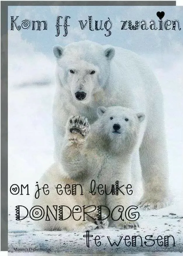 ᐅ fijne donderdag humor - Donderdag plaatjes