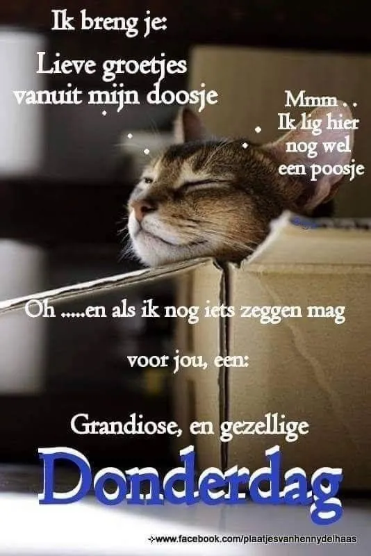 ᐅ fijne donderdag humor - Donderdag plaatjes