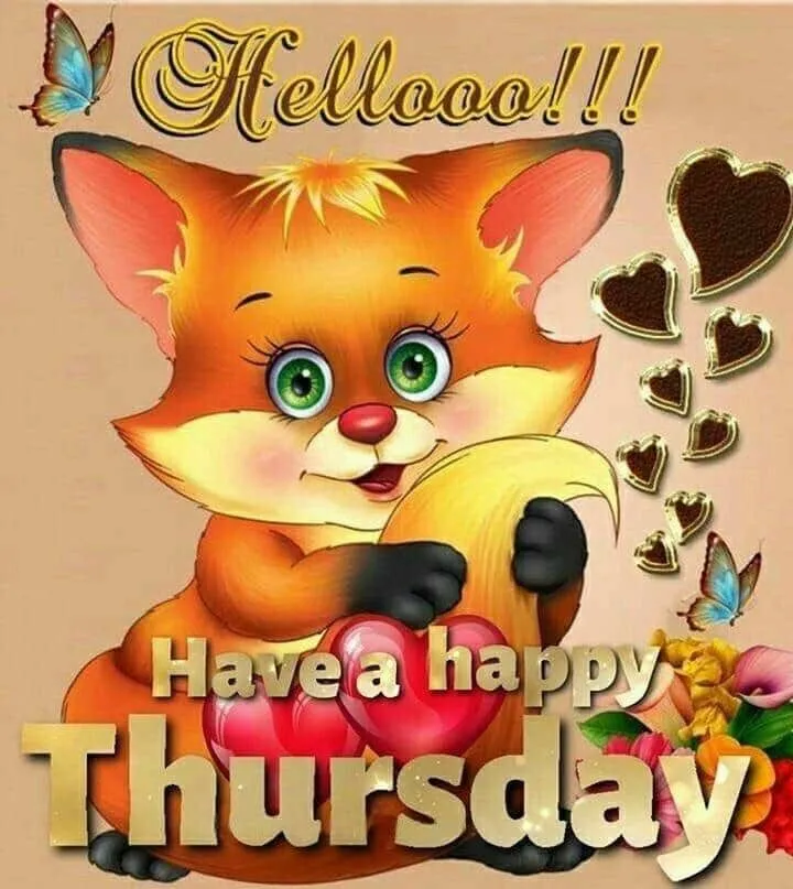 ᐅ fijne donderdag humor - Donderdag plaatjes