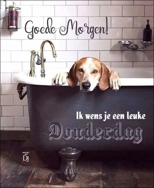 ᐅ fijne donderdag humor - Donderdag plaatjes