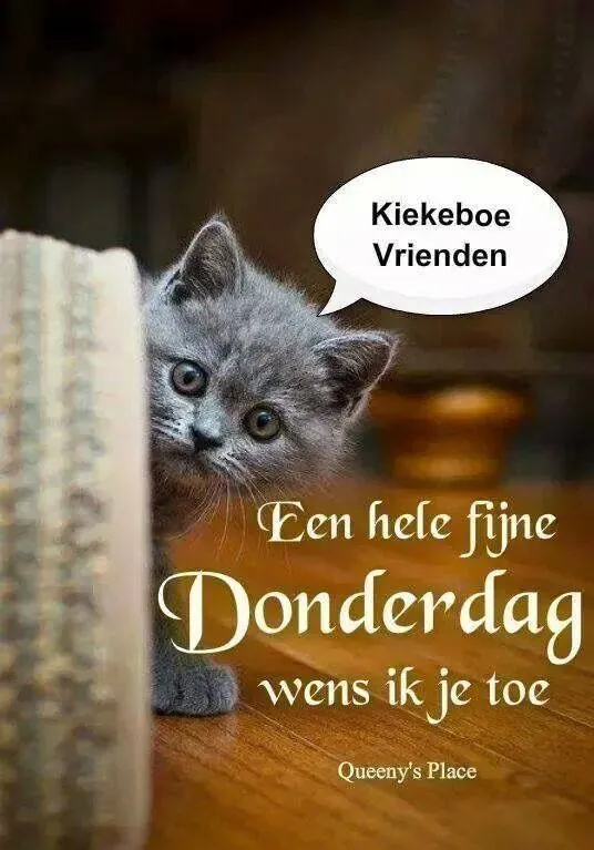 ᐅ fijne donderdag humor - Donderdag plaatjes