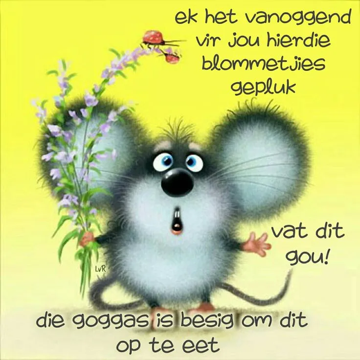 ᐅ fijne donderdag humor - Donderdag plaatjes