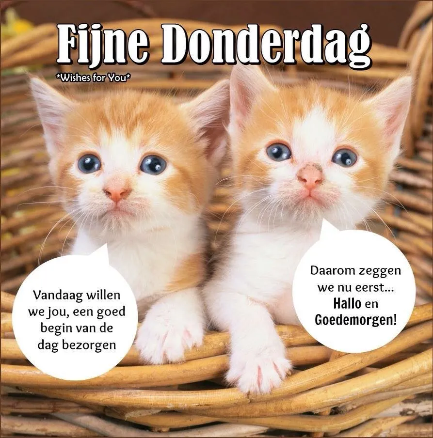 ᐅ fijne donderdag humor - Donderdag plaatjes