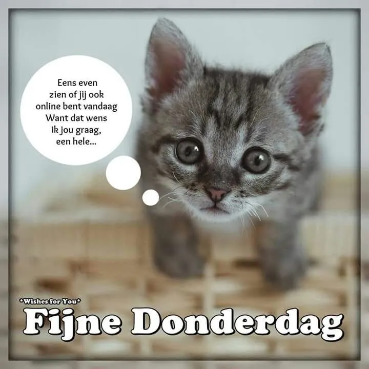 ᐅ fijne donderdag humor - Donderdag plaatjes