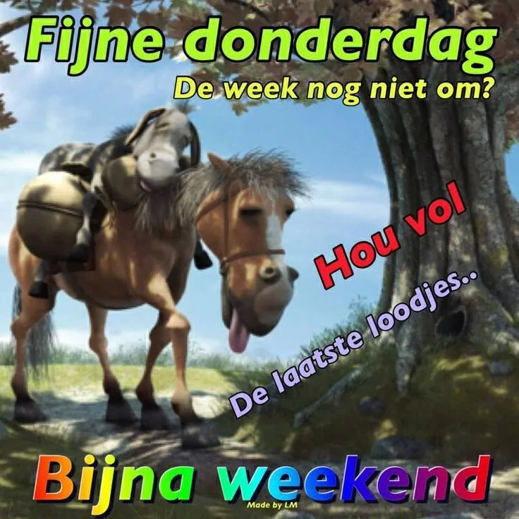ᐅ fijne donderdag humor - Donderdag plaatjes