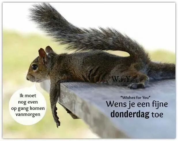 ᐅ fijne donderdag humor - Donderdag plaatjes