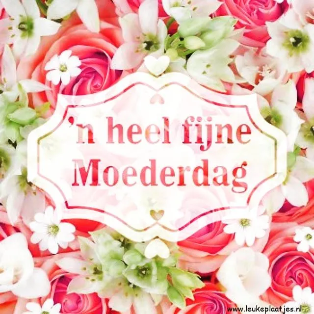 Achtergrond van bloemen met tekst: "een heel fijne Moederdag".