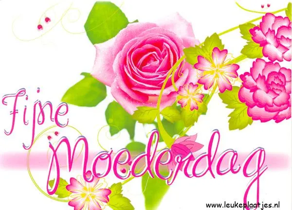 Roze bloemen en de tekst "Fijne Moederdag" op een kleurrijke achtergrond.