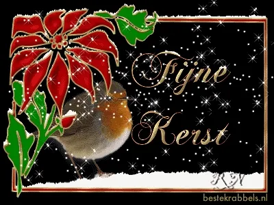 ᐅ fijne feestdagen gifjes - Kerst plaatjes Kerstkaart met een vogel en een poinsettia, met de tekst "Fijne Kerst".