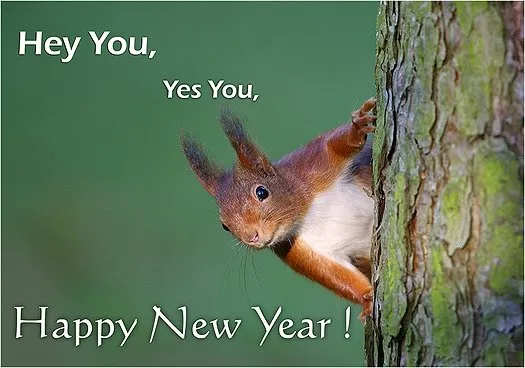 Eekhoorn met een groet voor het nieuwe jaar op een boomschors achtergrond.