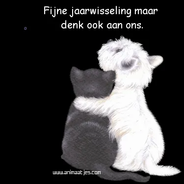 Zwart en wit hondje omhelzen elkaar met de tekst "Fijne jaarwisseling, maar denk ook aan ons."