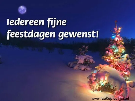 Sneeuwlandschap met versierde kerstboom en tekst: "Iedereen fijne feestdagen gewenst!"
